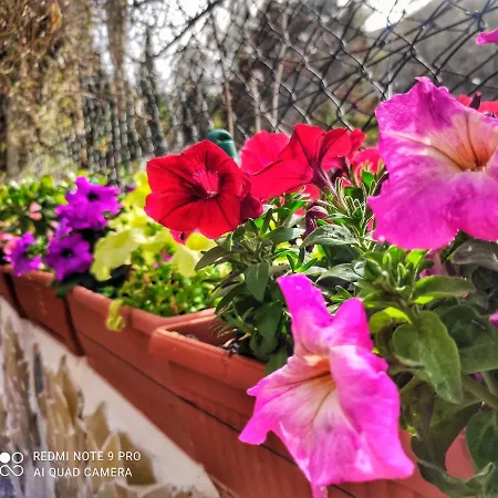 Διαμέρισμα Da Federica Baia Porto Delle Genti Λίπαρι