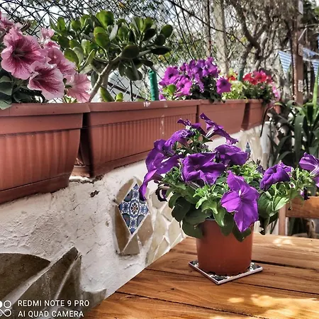 Da Federica Baia Porto Delle Genti *